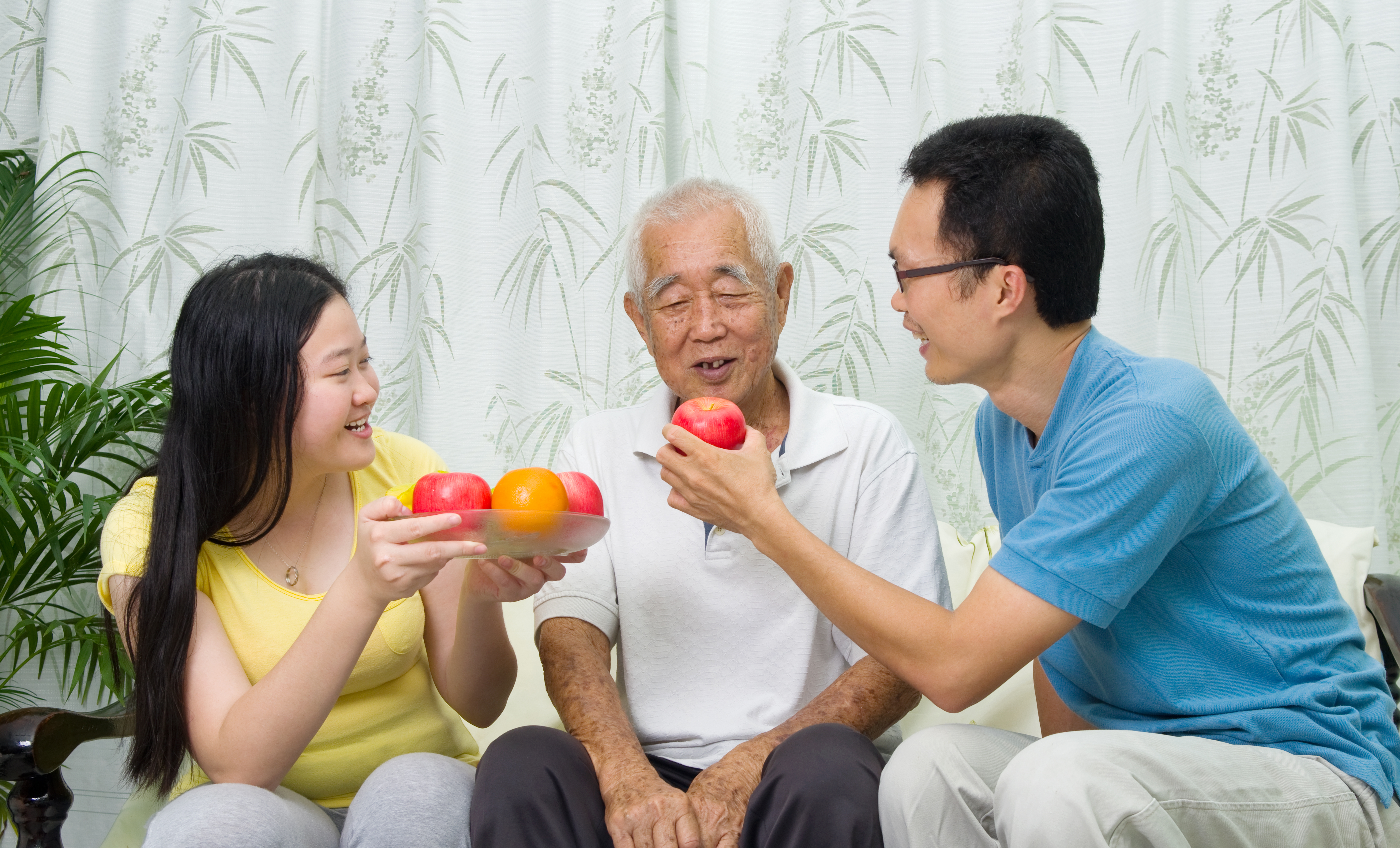 คู่มือโภชนาการสำหรับผู้ป่วยติดเตียง: การเตรียมอาหารและการให้อาหารทางสายยาง | ศูนย์ดูแลผู้สูงอายุ บ้านแสนรัก