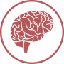 brain