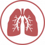 lung